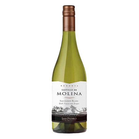 Castillo Molina Rsv Sauvignon Blanco